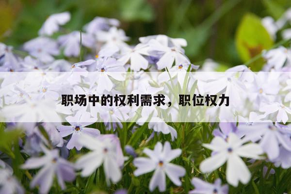 职场中的权利需求，职位权力