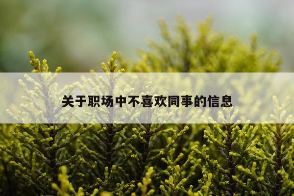 关于职场中不喜欢同事的信息
