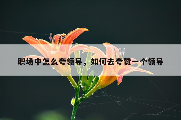 职场中怎么夸领导，如何去夸赞一个领导