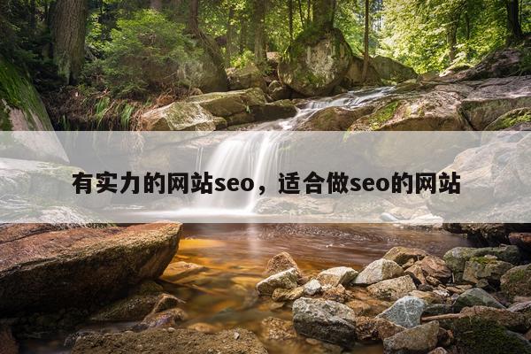 有实力的网站seo,适合做seo的网站