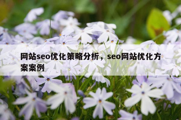 网站seo优化策略分析,seo网站优化方案案例