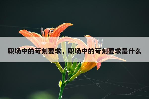职场中的苛刻要求，职场中的苛刻要求是什么