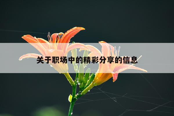 关于职场中的精彩分享的信息