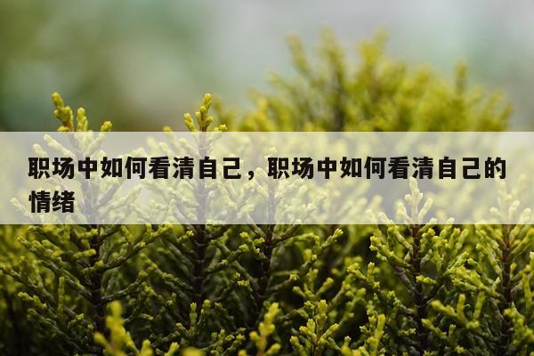职场中如何看清自己，职场中如何看清自己的情绪