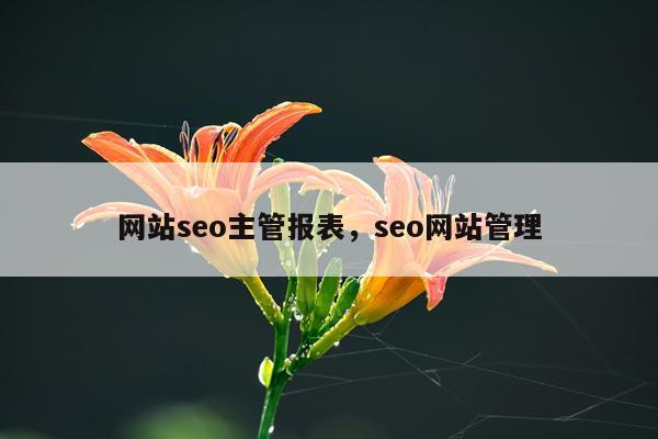 网站seo主管报表,seo网站管理
