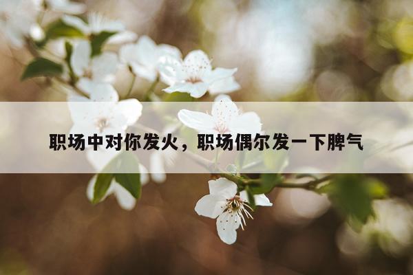 职场中对你发火，职场偶尔发一下脾气
