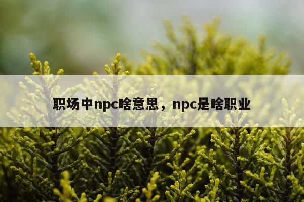 职场中npc啥意思，npc是啥职业