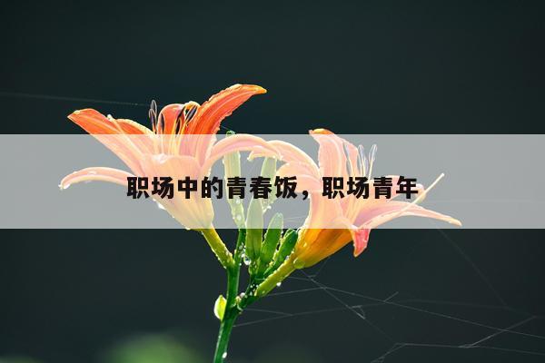 职场中的青春饭，职场青年