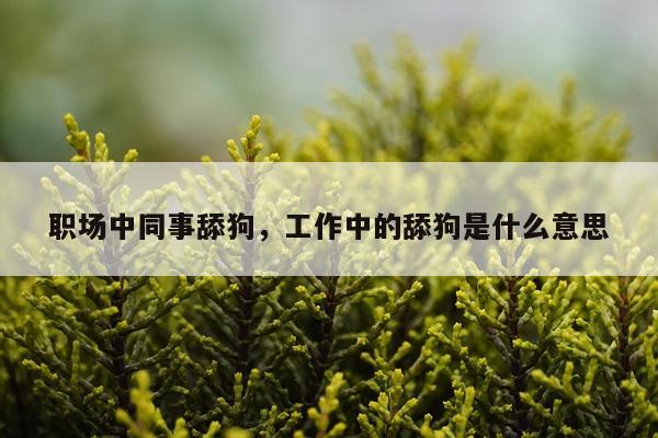 职场中同事舔狗，工作中的舔狗是什么意思
