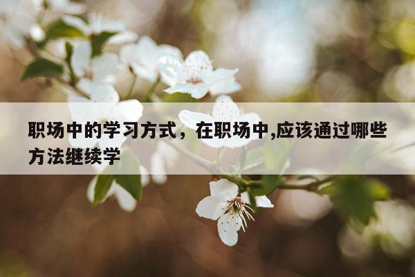 职场中的学习方式，在职场中,应该通过哪些方法继续学