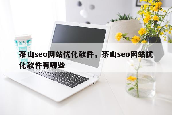 茶山seo网站优化软件,茶山seo网站优化软件有哪些