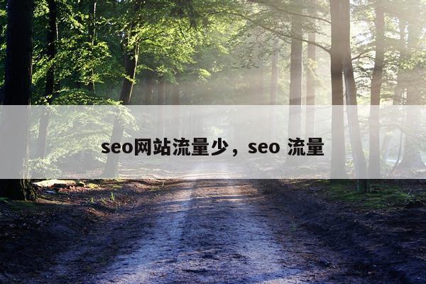 seo网站流量少,seo 流量