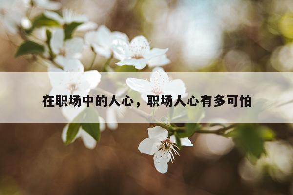 在职场中的人心，职场人心有多可怕