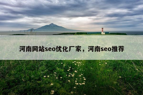 河南网站seo优化厂家,河南seo推荐