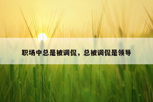 职场中总是被调侃，总被调侃是领导