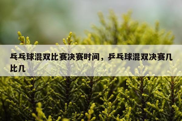 乓乓球混双比赛决赛时间,乒乓球混双决赛几比几