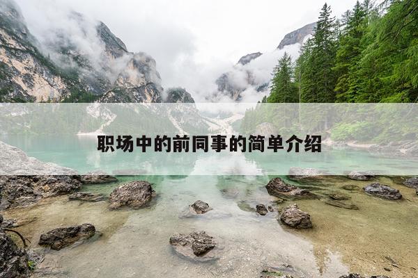职场中的前同事的简单介绍