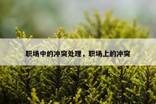 职场中的冲突处理，职场上的冲突