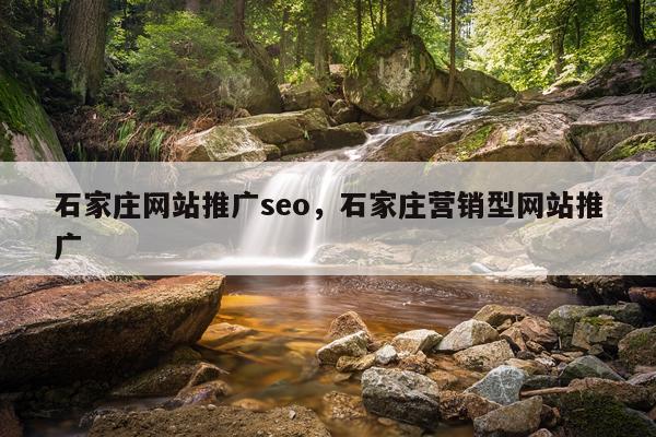 石家庄网站推广seo,石家庄营销型网站推广