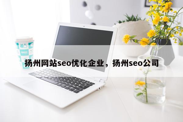 扬州网站seo优化企业,扬州seo公司