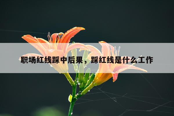 职场红线踩中后果，踩红线是什么工作