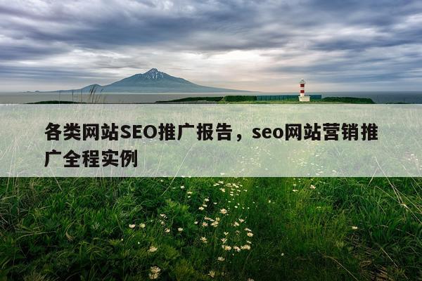 各类网站SEO推广报告,seo网站营销推广全程实例