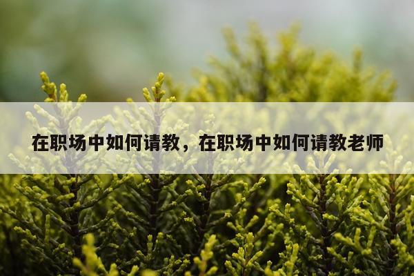 在职场中如何请教，在职场中如何请教老师