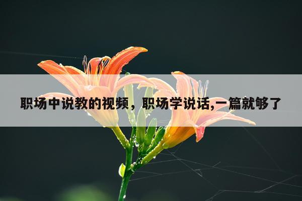 职场中说教的视频，职场学说话,一篇就够了