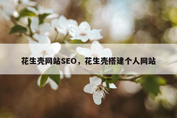 花生壳网站SEO,花生壳搭建个人网站