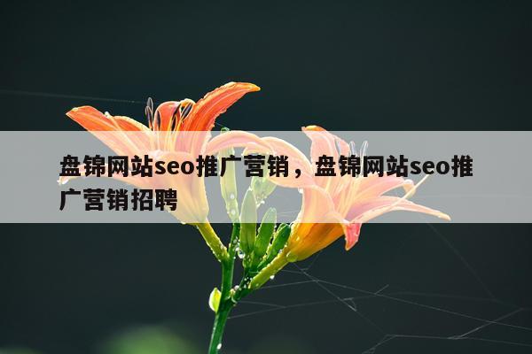 盘锦网站seo推广营销,盘锦网站seo推广营销招聘