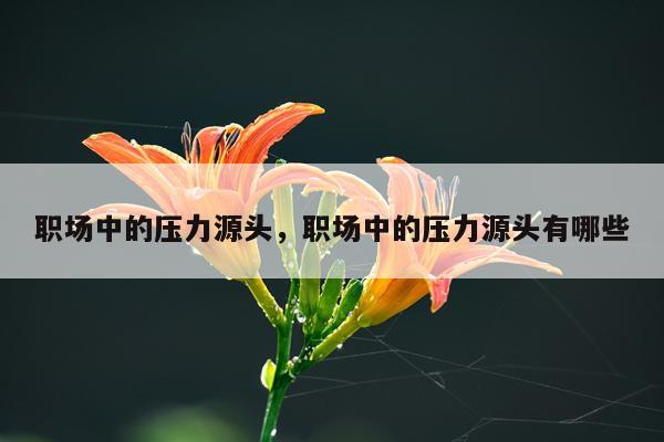 职场中的压力源头，职场中的压力源头有哪些