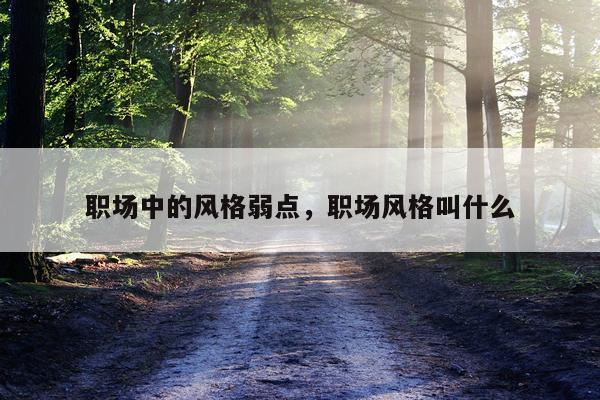 职场中的风格弱点，职场风格叫什么