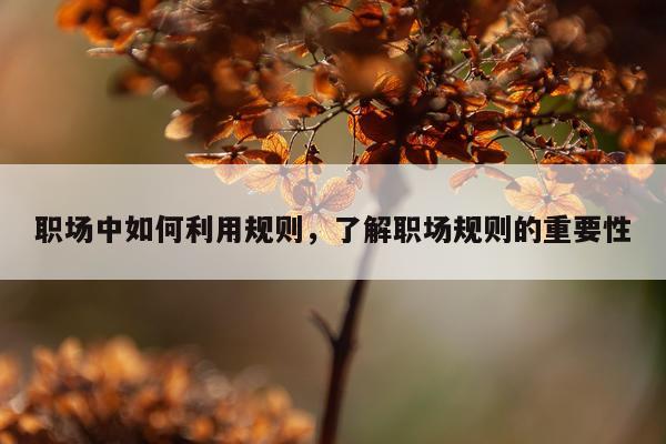 职场中如何利用规则，了解职场规则的重要性