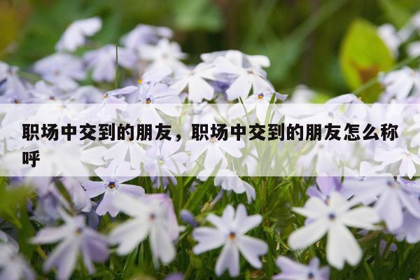 职场中交到的朋友，职场中交到的朋友怎么称呼