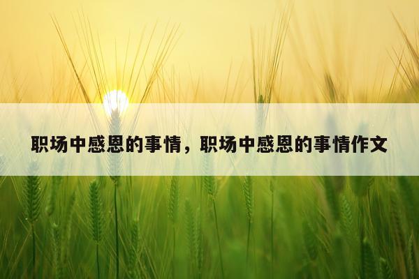 职场中感恩的事情，职场中感恩的事情作文