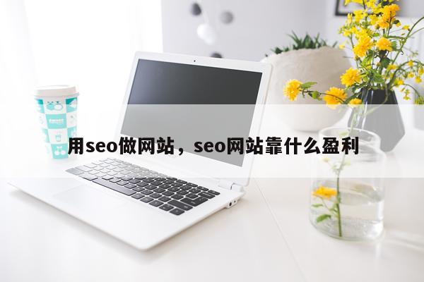 用seo做网站,seo网站靠什么盈利