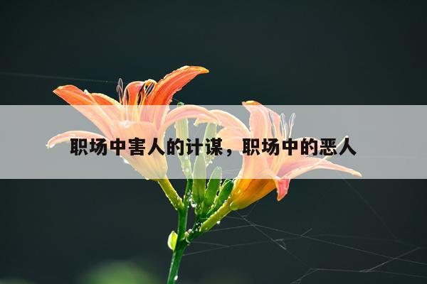 职场中害人的计谋，职场中的恶人
