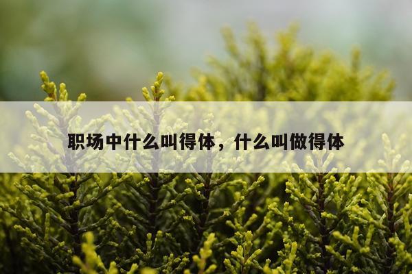 职场中什么叫得体，什么叫做得体