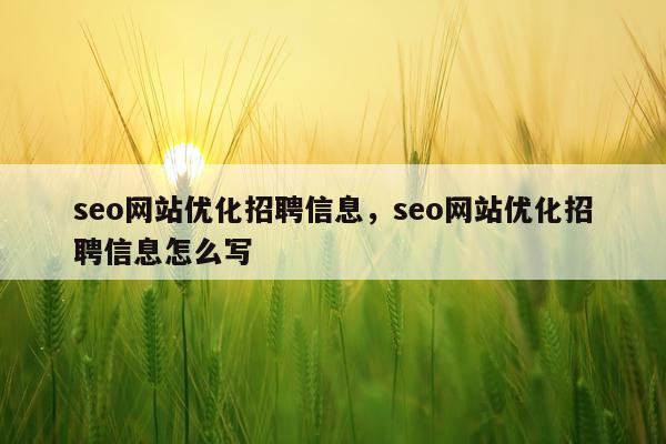 seo网站优化招聘信息,seo网站优化招聘信息怎么写