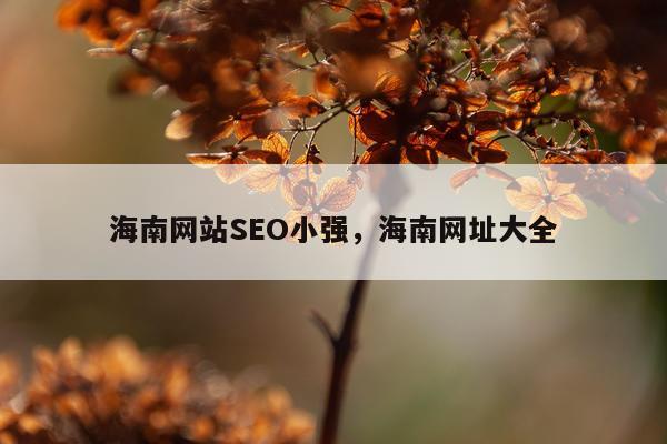 海南网站SEO小强,海南网址大全