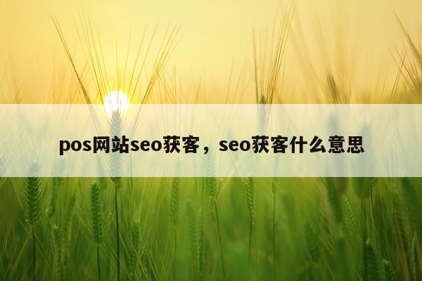 pos网站seo获客,seo获客什么意思