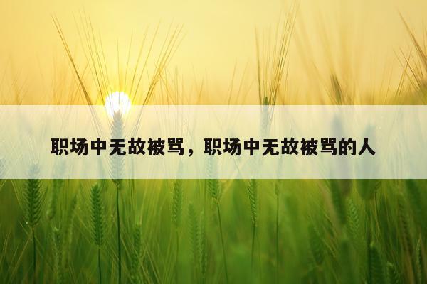 职场中无故被骂，职场中无故被骂的人