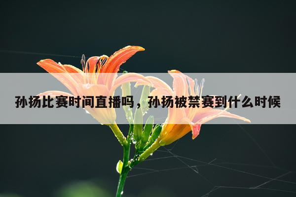孙扬比赛时间直播吗,孙扬被禁赛到什么时候