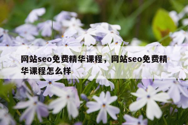 网站seo免费精华课程,网站seo免费精华课程怎么样