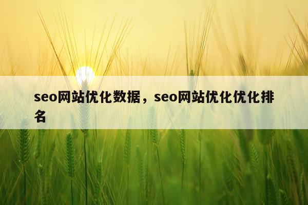 seo网站优化数据,seo网站优化优化排名