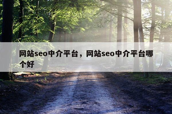 网站seo中介平台,网站seo中介平台哪个好