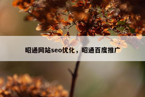 昭通网站seo优化,昭通百度推广