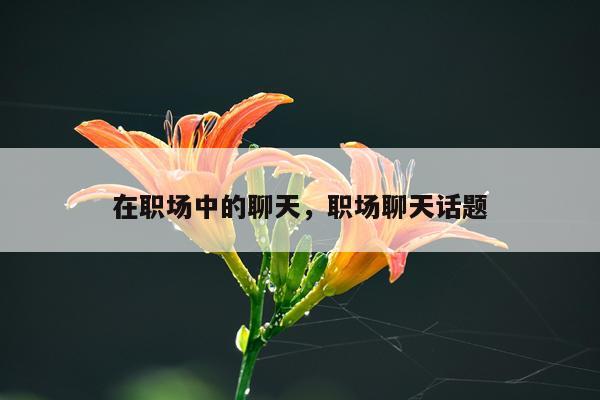 在职场中的聊天，职场聊天话题