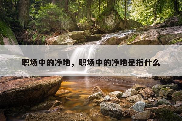 职场中的净地，职场中的净地是指什么