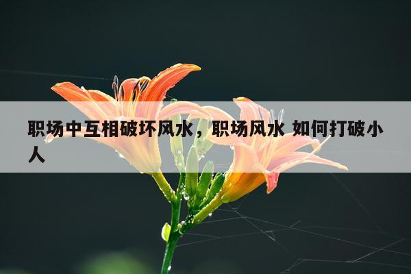 职场中互相破坏风水，职场风水 如何打破小人